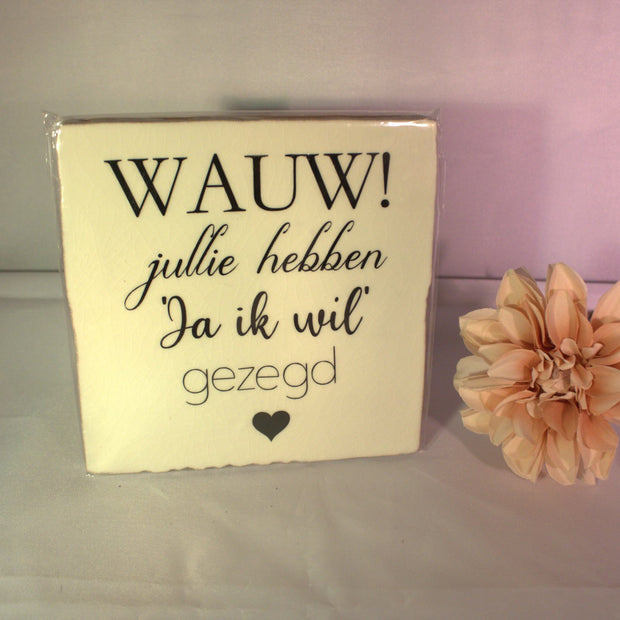 Keramisch tegeltje huwelijkscadeau - Wauw jullie hebben ja ik wil gezegd