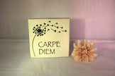 Keramisch tegeltje 'Carpe Diem' met paardenbloem illustratie en wegwaaiende hartjes – inspirerend pluk de dag cadeau