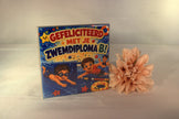 Keramisch tegeltje cadeau zwemdiploma B met tekst Hoera geslaagd - leuk cadeau voor zwemdiploma