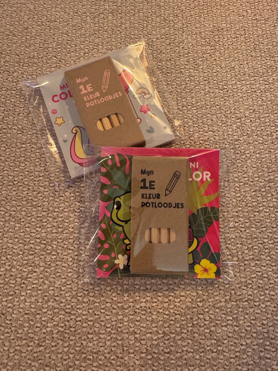Vrolijk kleurboekje met 6 kleurpotloodjes bestellen? Perfect als schooltraktatie, gastgeschenk of klein schoencadeautje. Handgemaakt en feestelijk verpakt!
