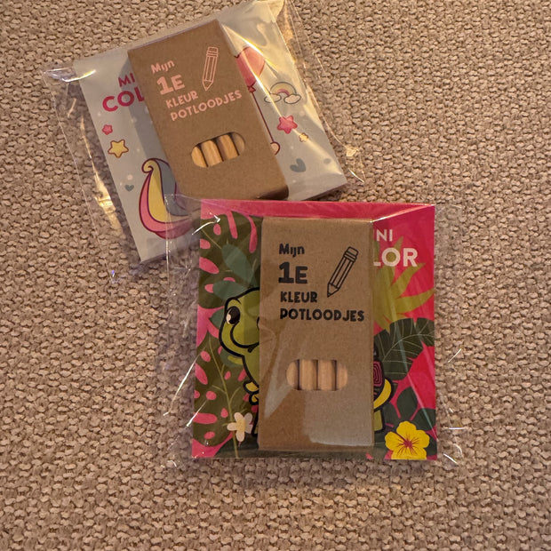 Vrolijk kleurboekje met 6 kleurpotloodjes bestellen? Perfect als schooltraktatie, gastgeschenk of klein schoencadeautje. Handgemaakt en feestelijk verpakt!
