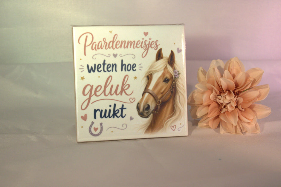 Keramisch tegeltje 'Paardenmeisjes weten hoe geluk ruikt' met paard en hartjes print – cadeau voor paardenfan