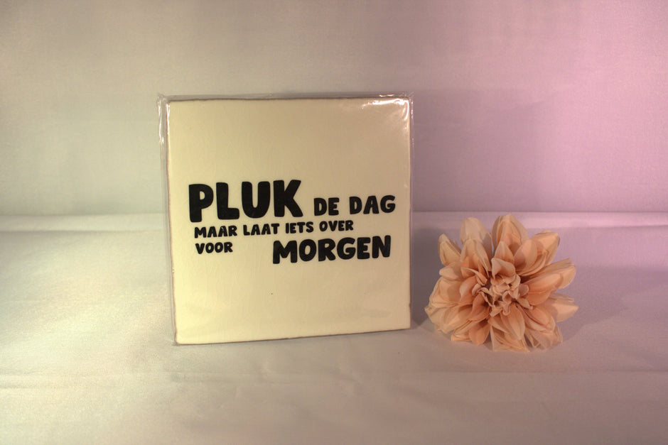 Keramisch tegeltje 'Pluk de dag, maar laat iets over voor morgen' met speelse typografie – inspirerend positief cadeau